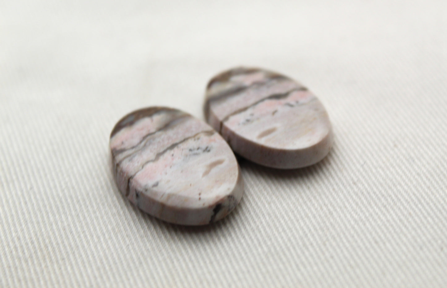 Pair of Petrified Wood Cabochons Oval