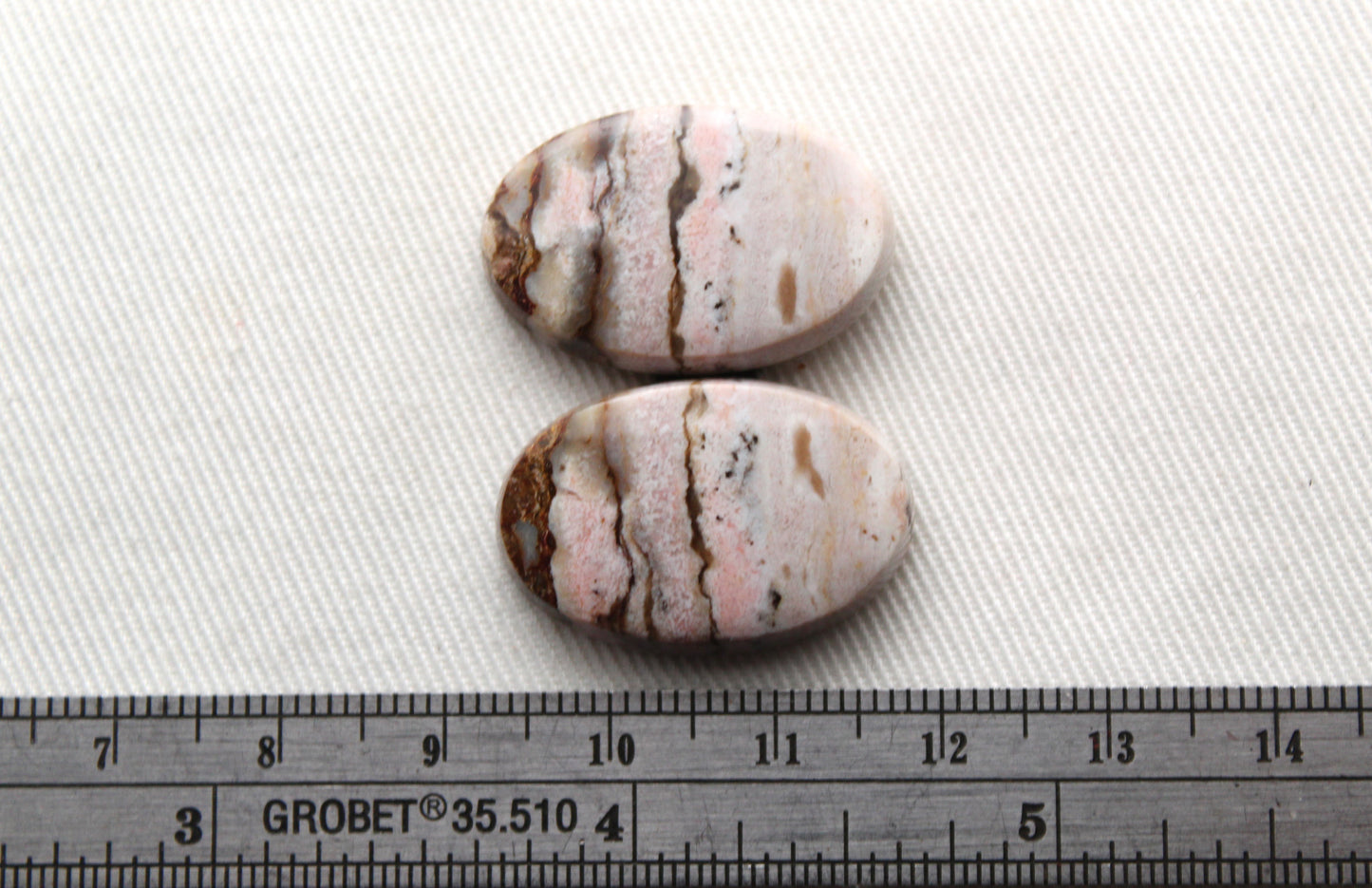 Pair of Petrified Wood Cabochons Oval