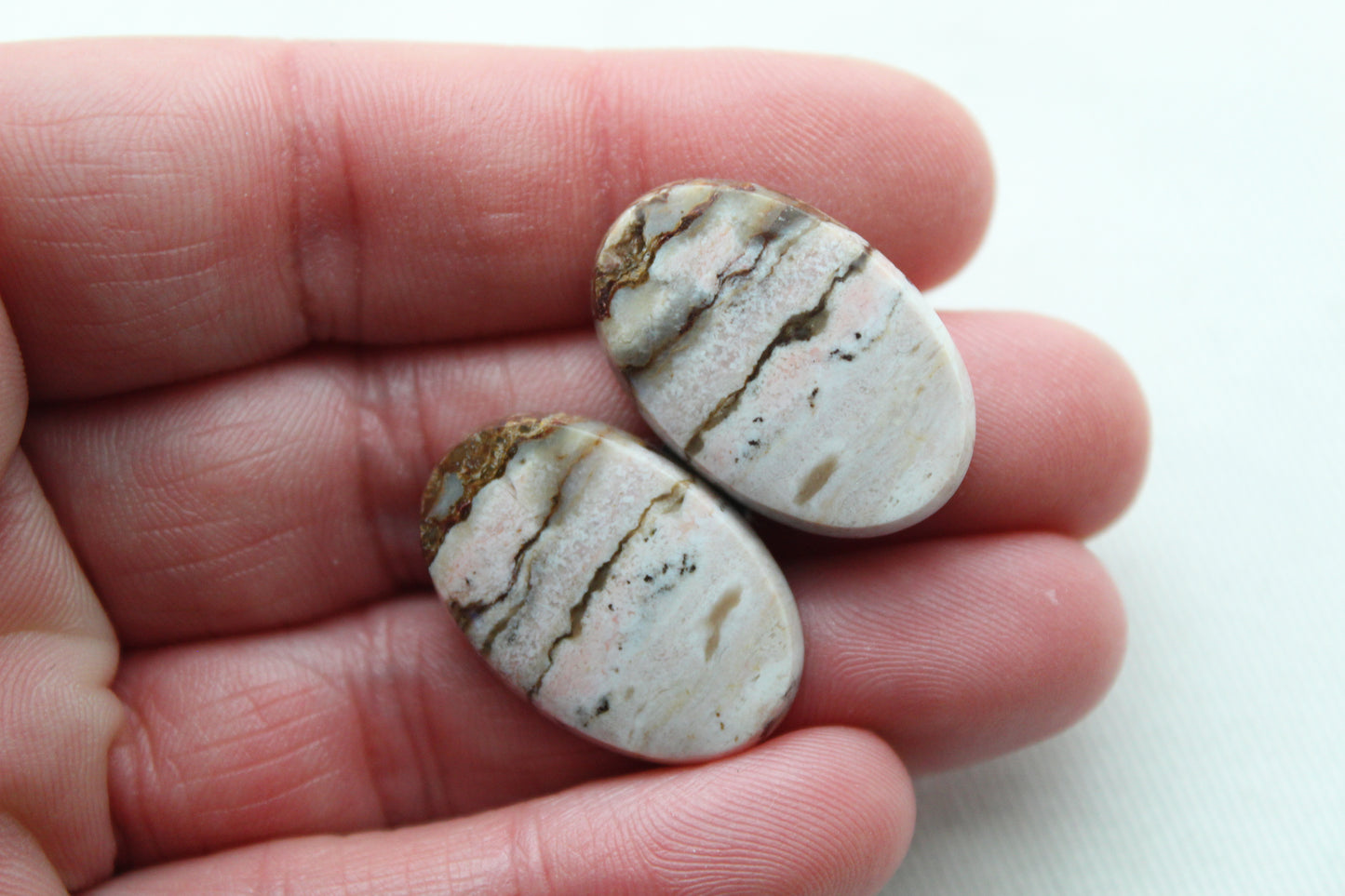 Pair of Petrified Wood Cabochons Oval