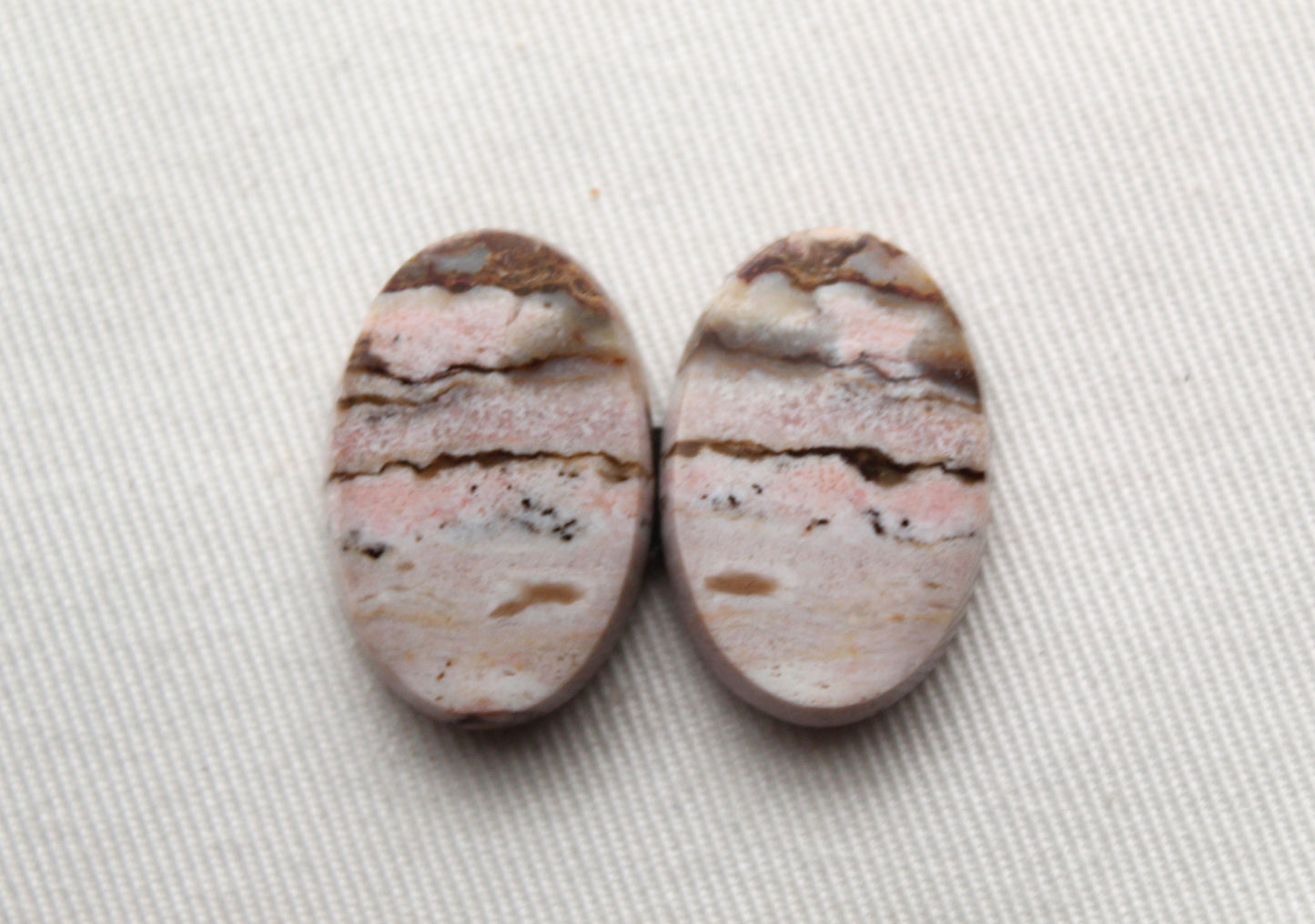 Pair of Petrified Wood Cabochons Oval