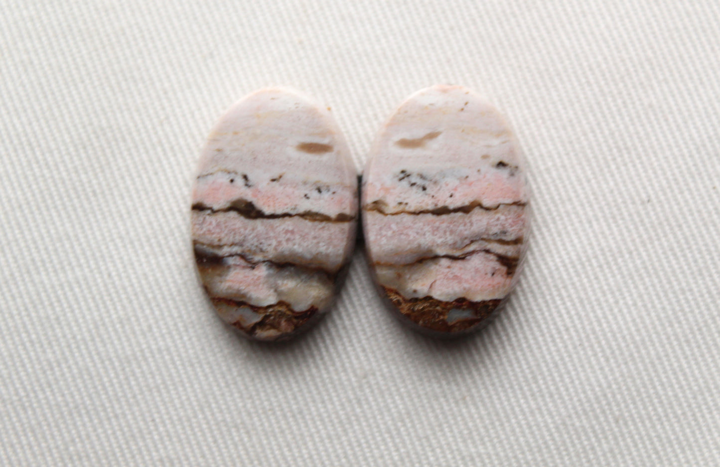 Pair of Petrified Wood Cabochons Oval