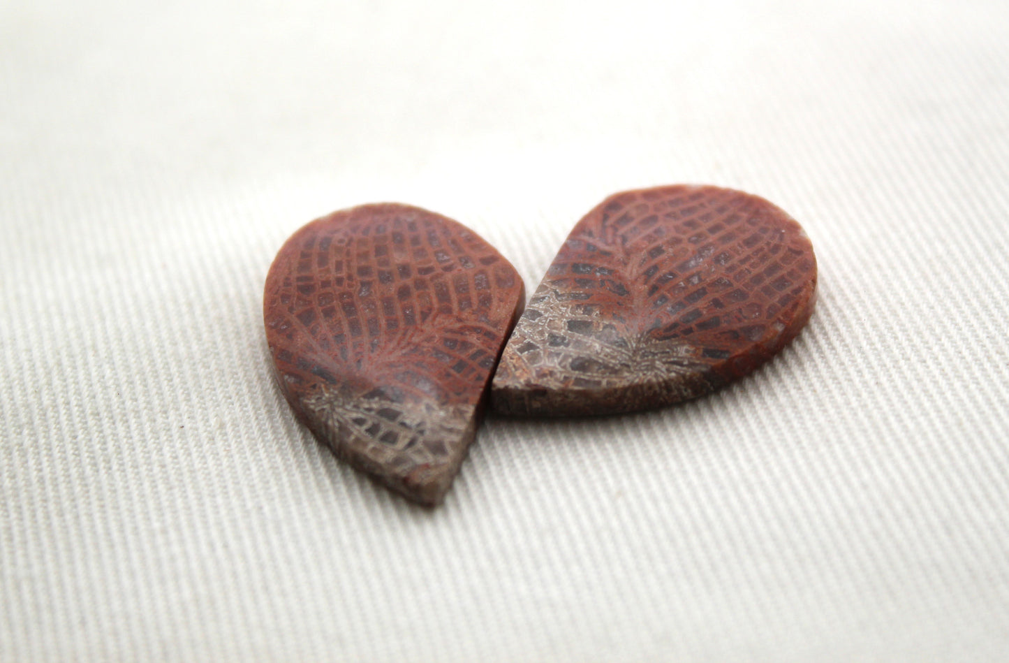 Pink Fossil Coral Pair of Gemstones cabochon