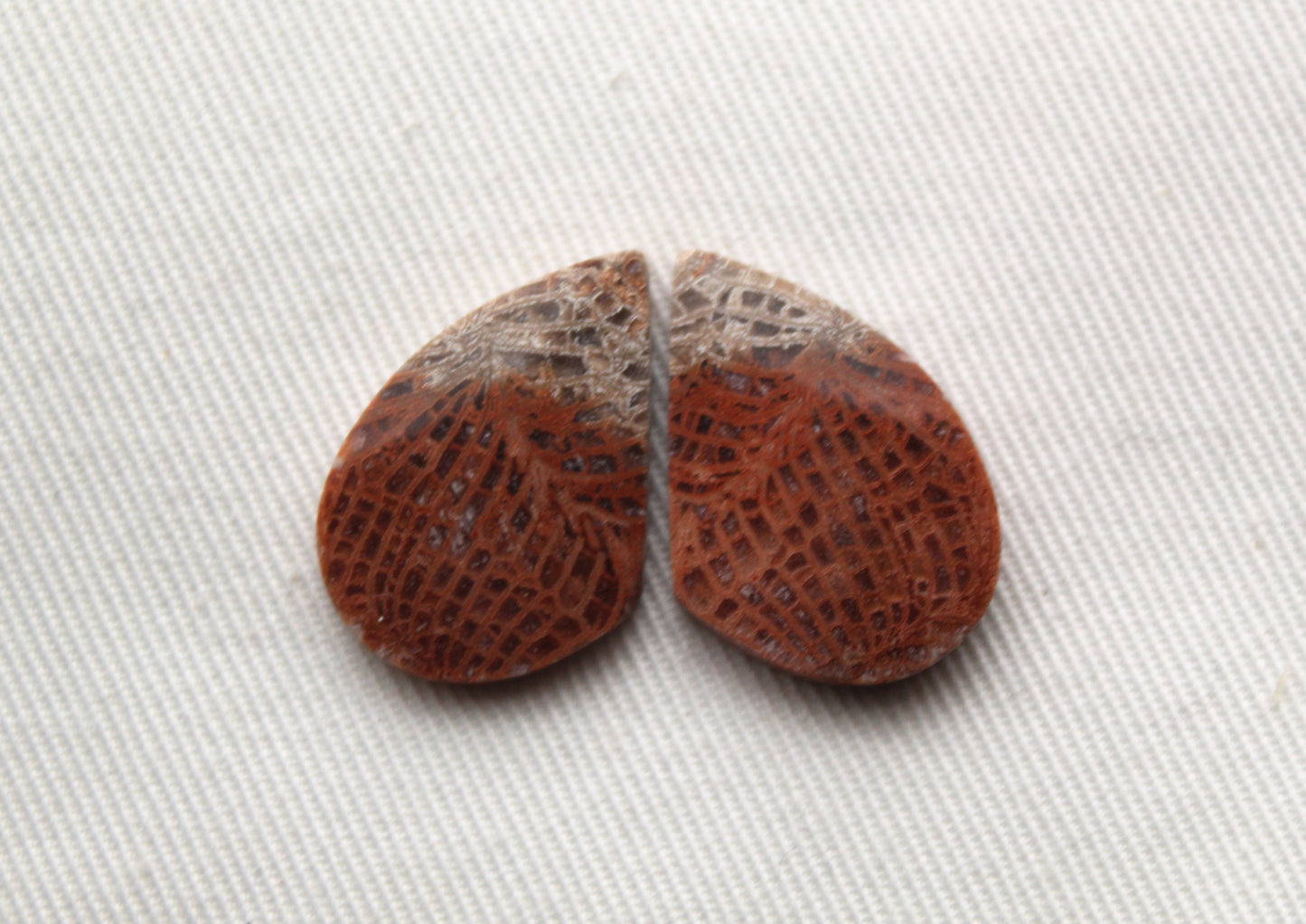 Pink Fossil Coral Pair of Gemstones cabochon