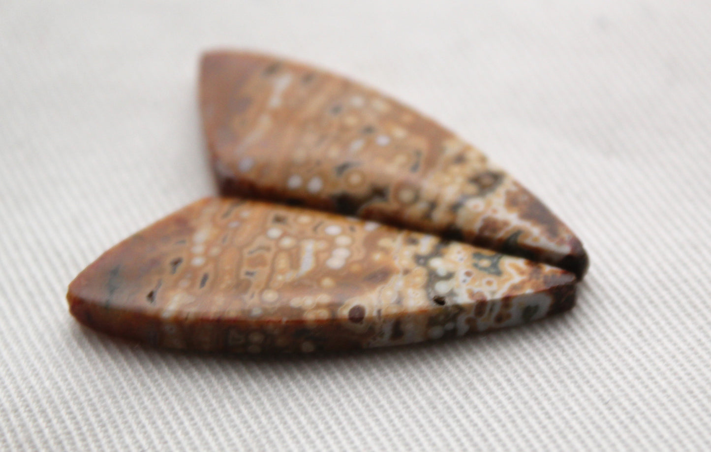 River Jasper Cabochon Pair Gemstone green beige triangle