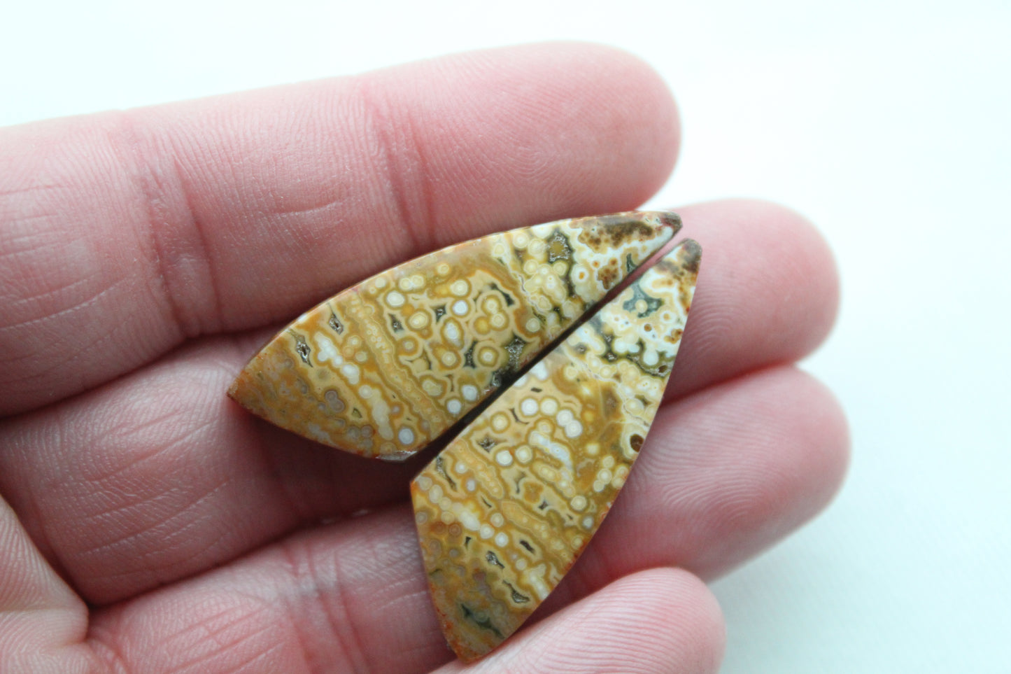 River Jasper Cabochon Pair Gemstone green beige triangle