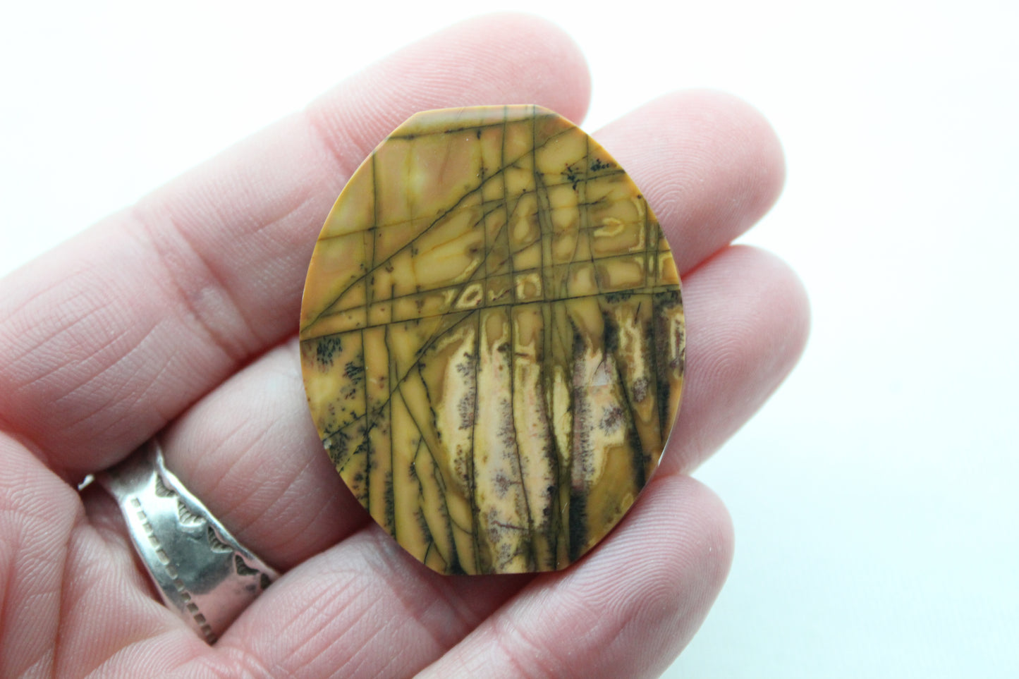 NICE Large Cabochon Yellow Feather Jasper Gemstone