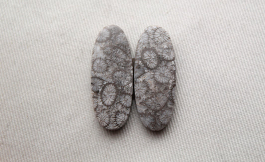 Gray Fossil coral Oval pair cabochons