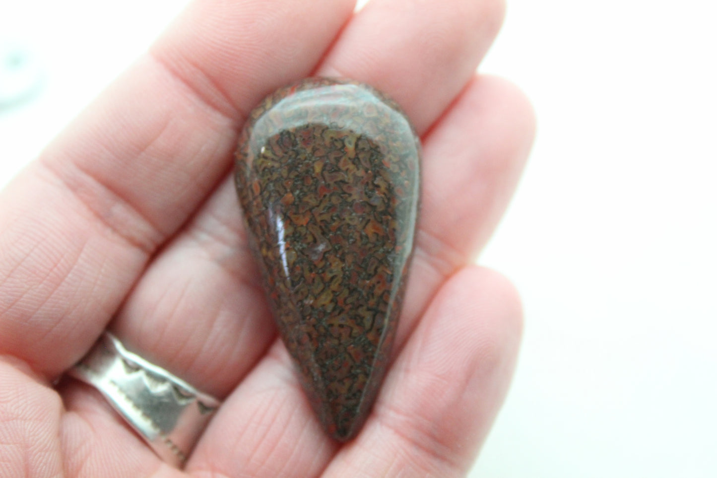 Dinosaur Bone Cabochon Long Teardrop red fossil