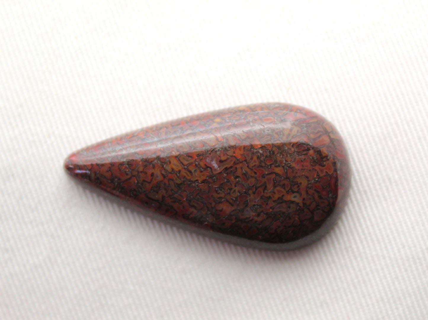 Dinosaur Bone Cabochon Long Teardrop red fossil