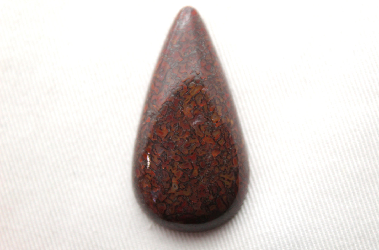 Dinosaur Bone Cabochon Long Teardrop red fossil