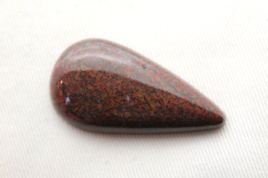 Dinosaur Bone Cabochon Long Teardrop red fossil