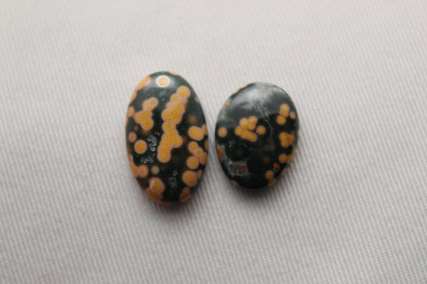 TWO Ocean Jasper Cabochon Gemstone freeform green