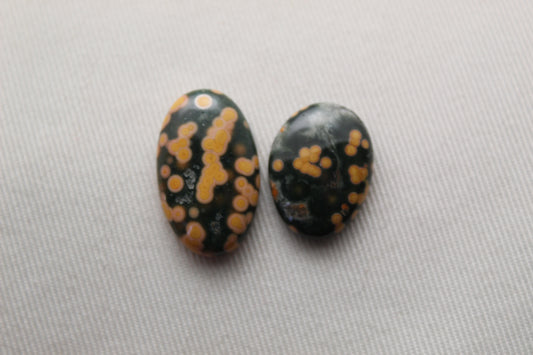 TWO Ocean Jasper Cabochon Gemstone freeform green