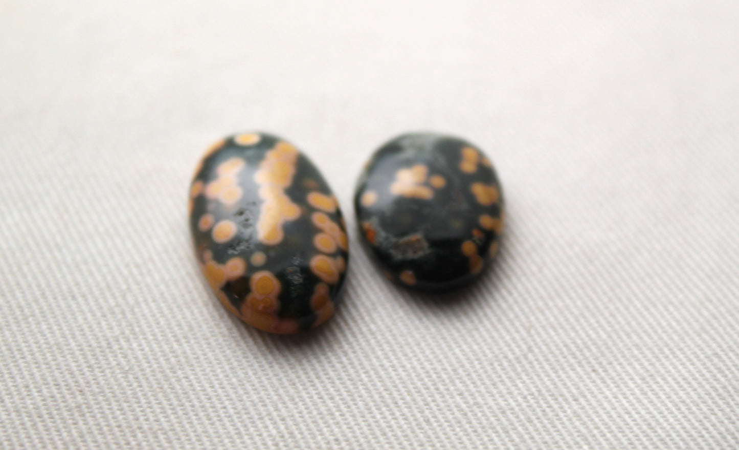 TWO Ocean Jasper Cabochon Gemstone freeform green