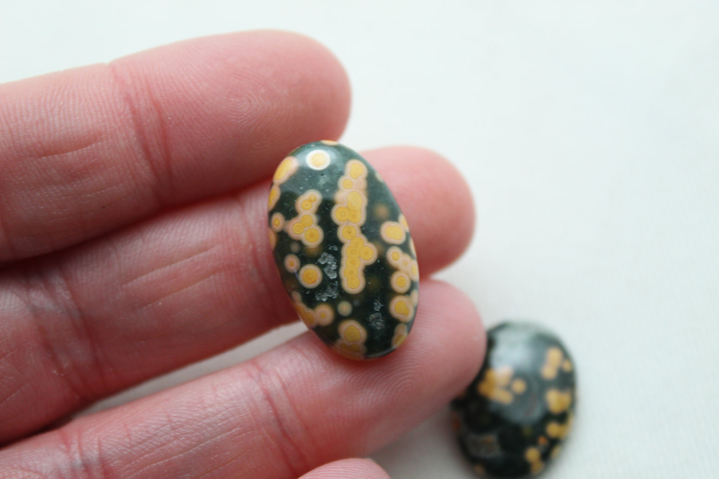 TWO Ocean Jasper Cabochon Gemstone freeform green