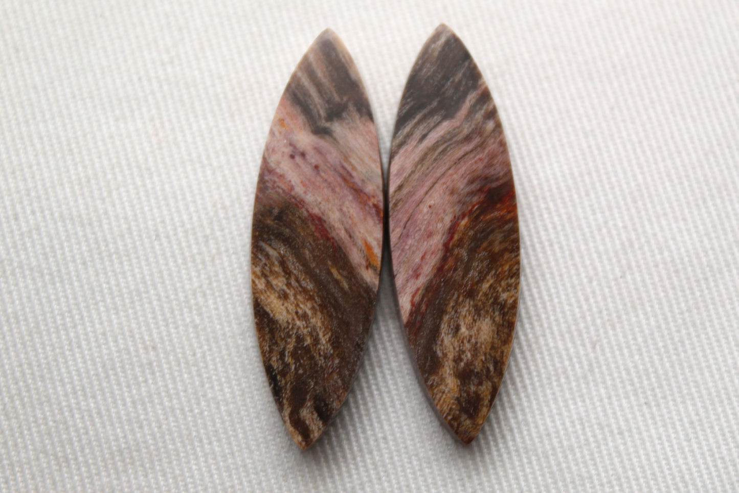 Nice pair of Petrified Wood Cabochons marquise