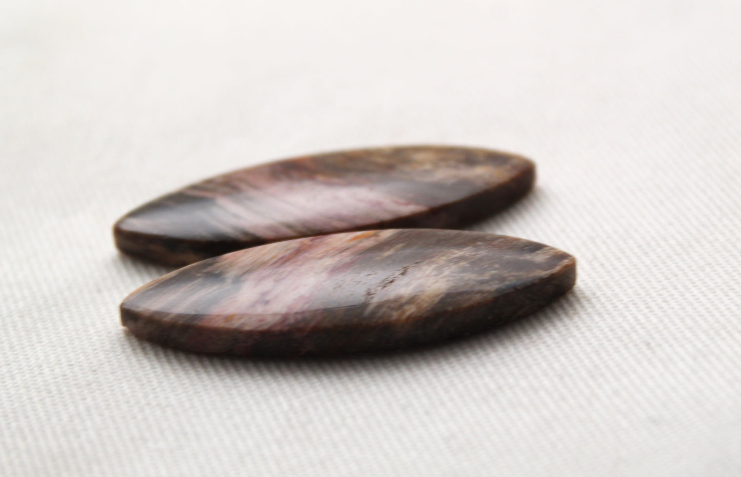 Nice pair of Petrified Wood Cabochons marquise