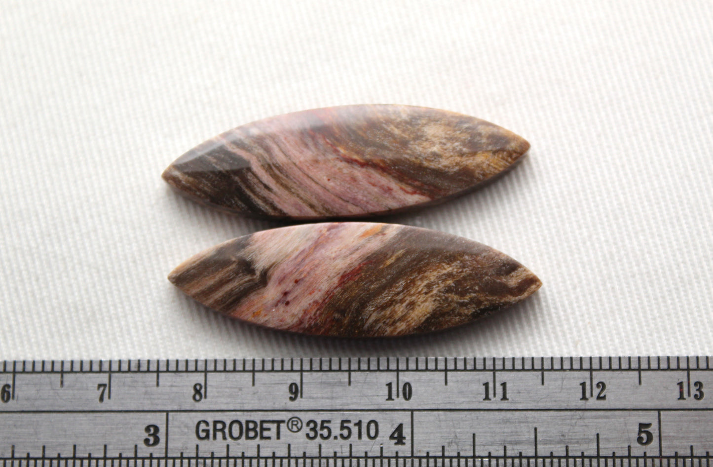 Nice pair of Petrified Wood Cabochons marquise