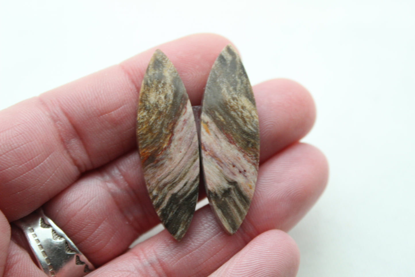 Nice pair of Petrified Wood Cabochons marquise