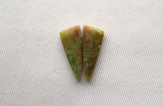 SMALL Opalized Petrified Wood Cabochon Pair green gemstone