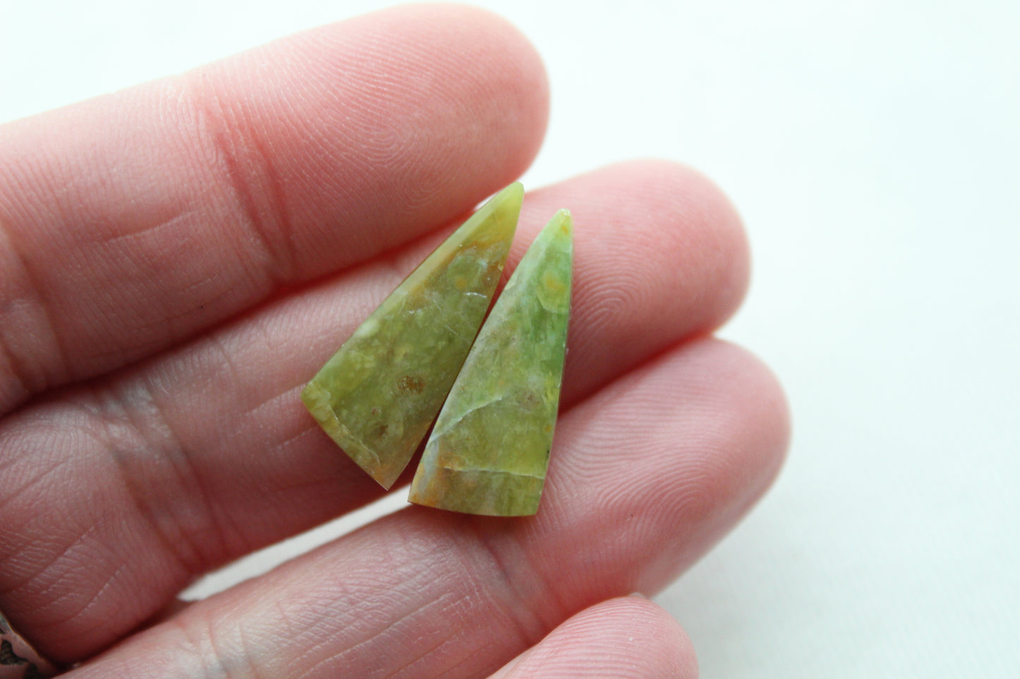 SMALL Opalized Petrified Wood Cabochon Pair green gemstone