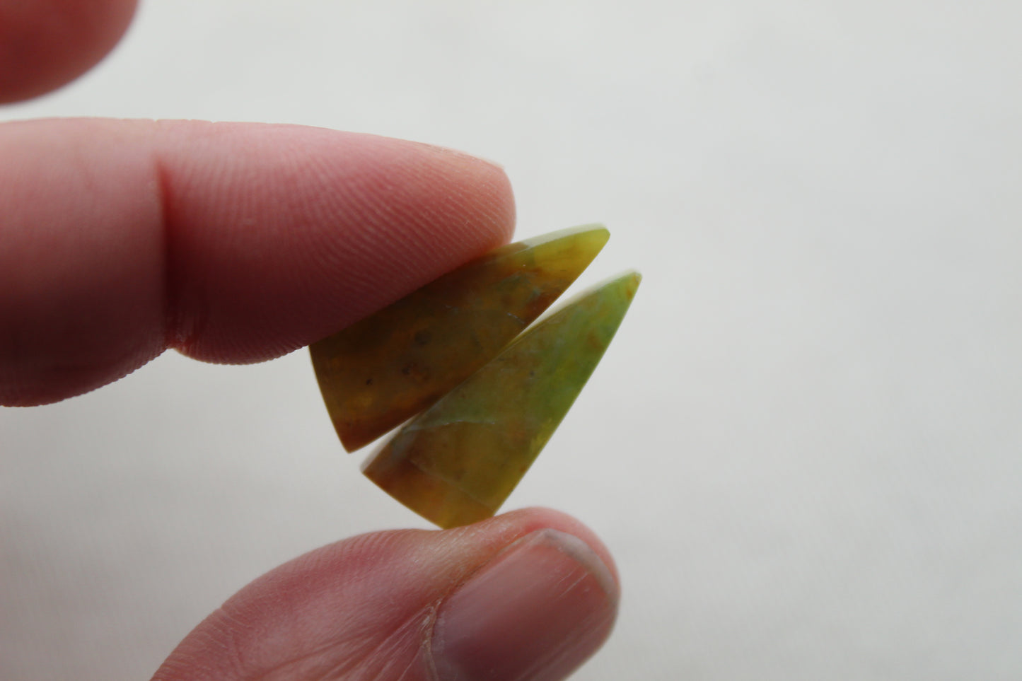 SMALL Opalized Petrified Wood Cabochon Pair green gemstone