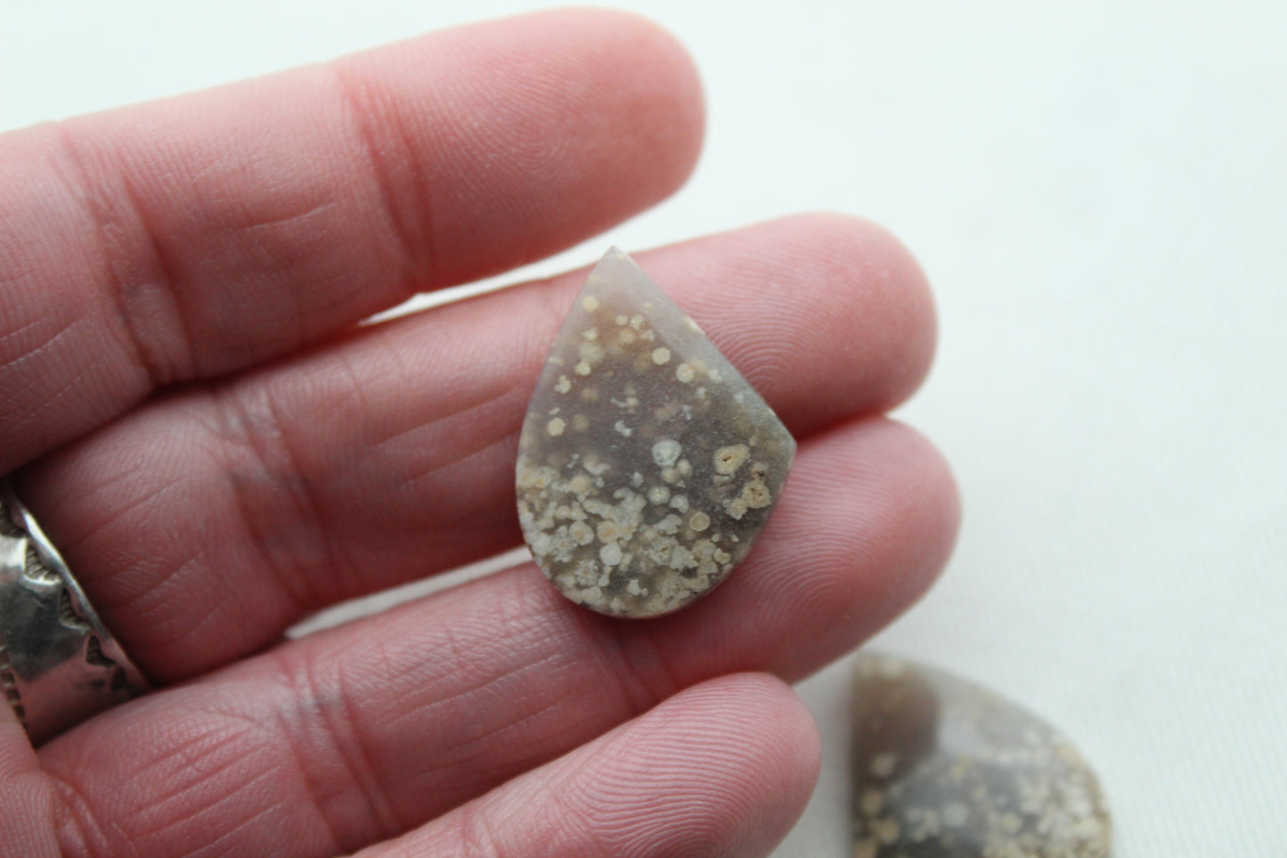 Pair White Indonesian Agate Cabochons gemstones freeform