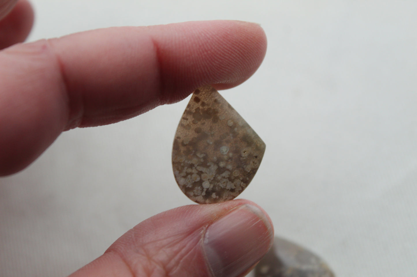 Pair White Indonesian Agate Cabochons gemstones freeform