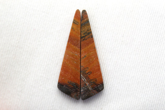 Thin Australian Petrified wood Cabochon Pair triangle