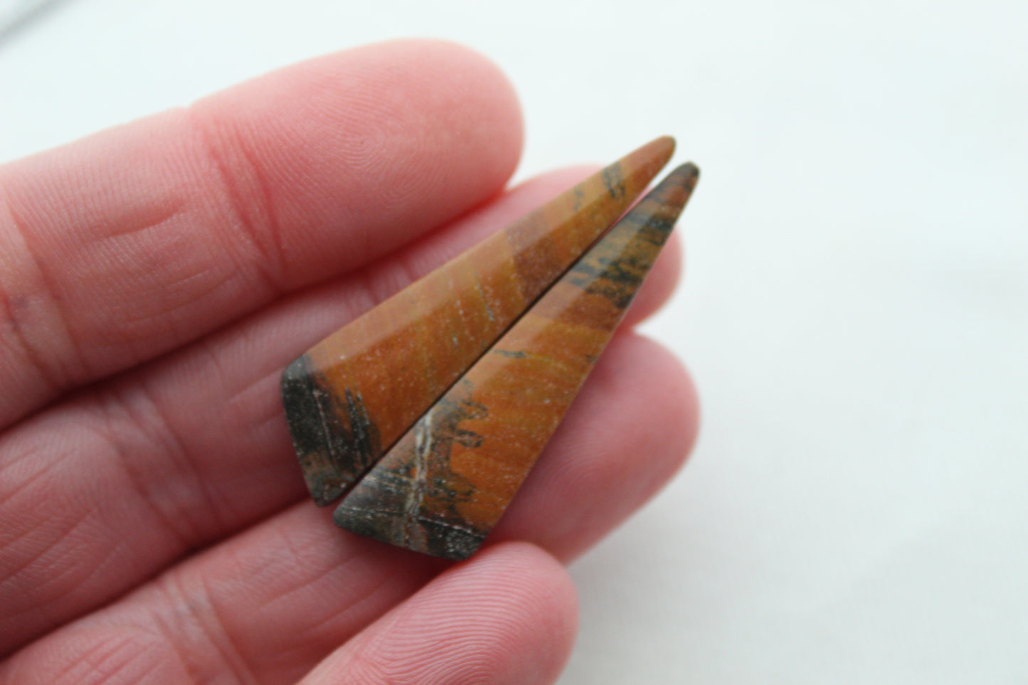 Thin Australian Petrified wood Cabochon Pair triangle