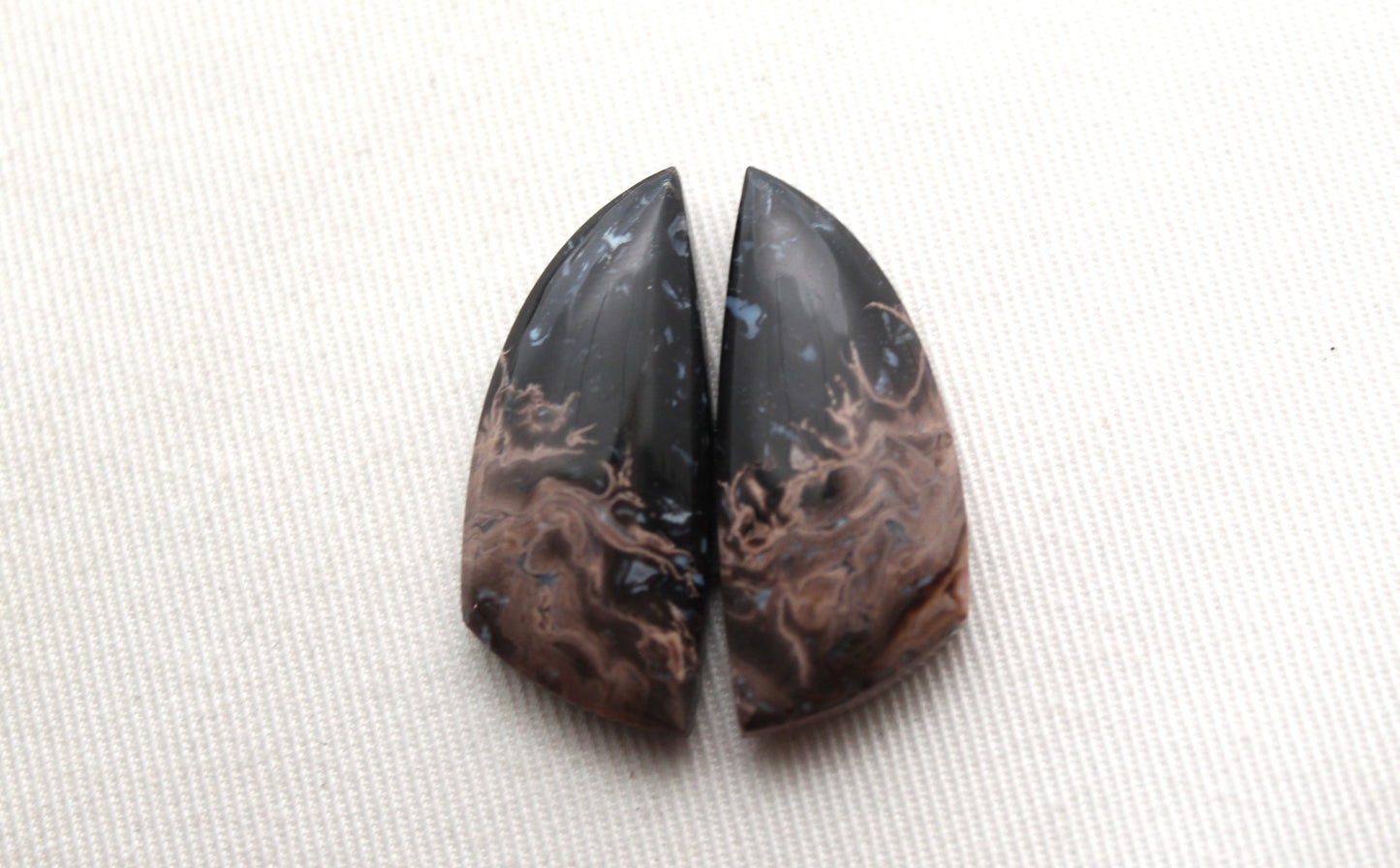 NICE Petrified Palm Wood Cabochon Pair