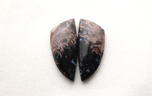 NICE Petrified Palm Wood Cabochon Pair