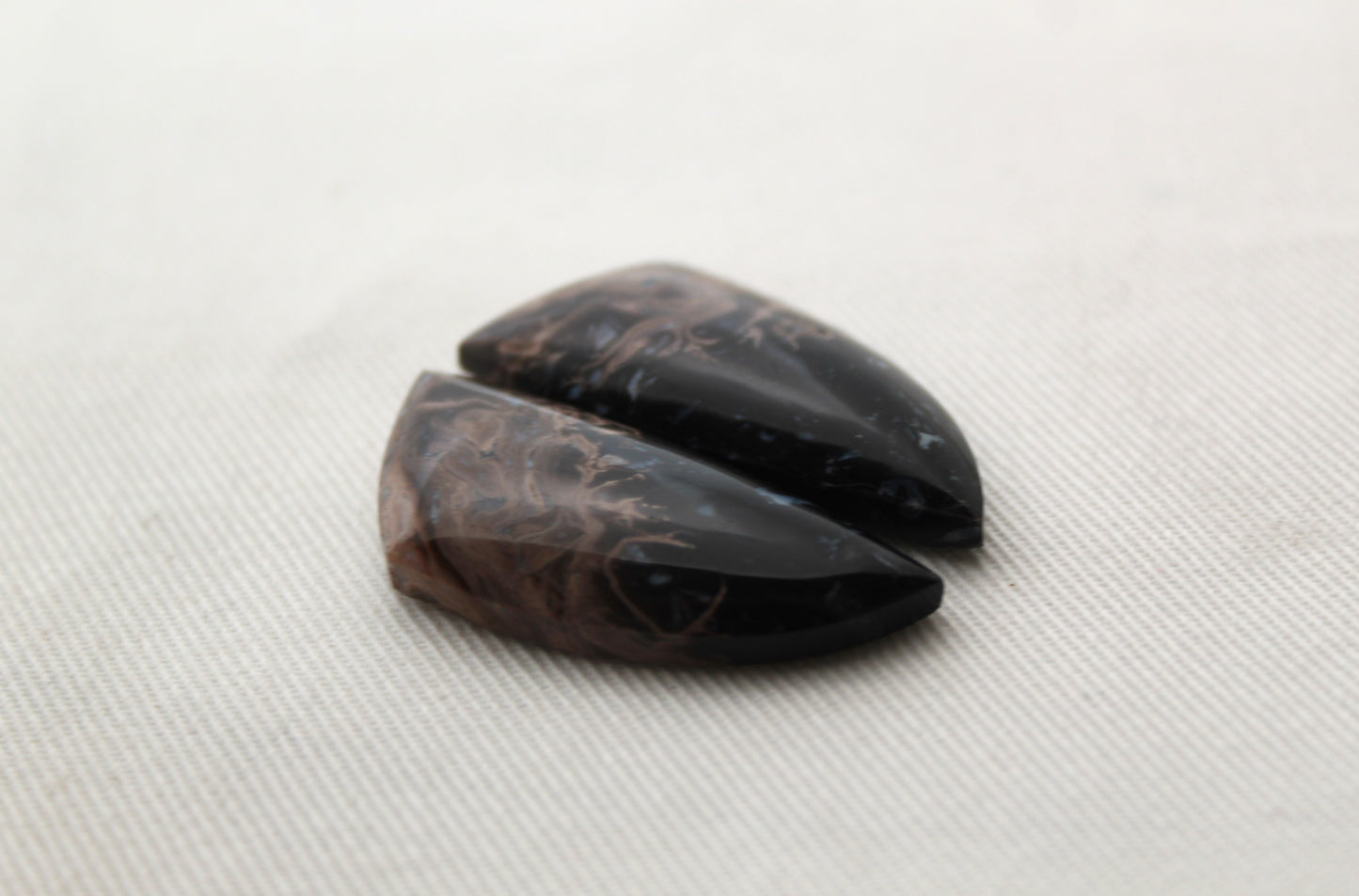 NICE Petrified Palm Wood Cabochon Pair