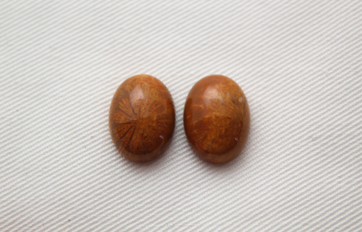 TWO Petrified coral cabochons oval 16X12MM