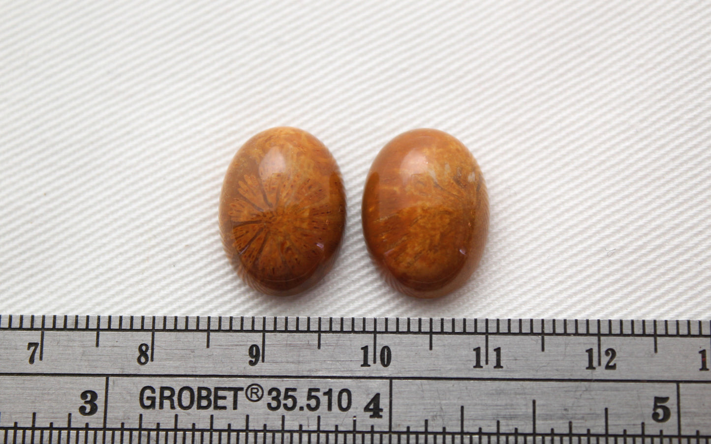 TWO Petrified coral cabochons oval 16X12MM