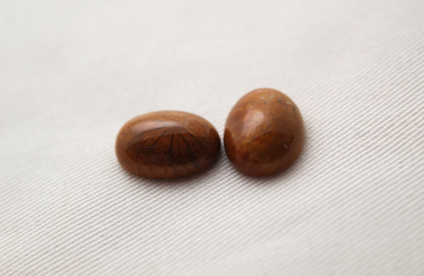 TWO Petrified coral cabochons oval 16X12MM