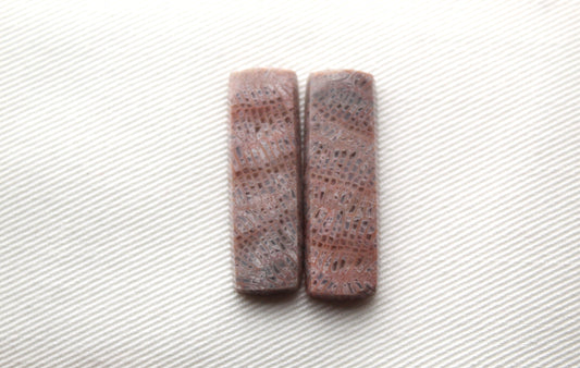 Pink Fossil Coral Pair of Gemstones cabochon rectangle