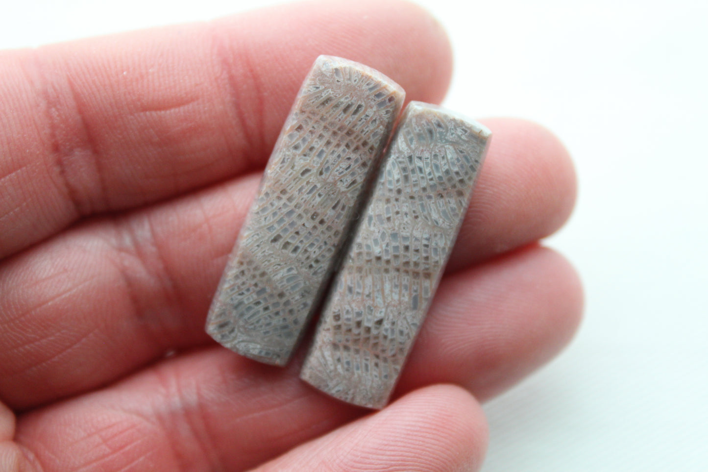 Pink Fossil Coral Pair of Gemstones cabochon rectangle