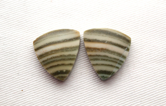 Pair of striped green Jasper Cabochons