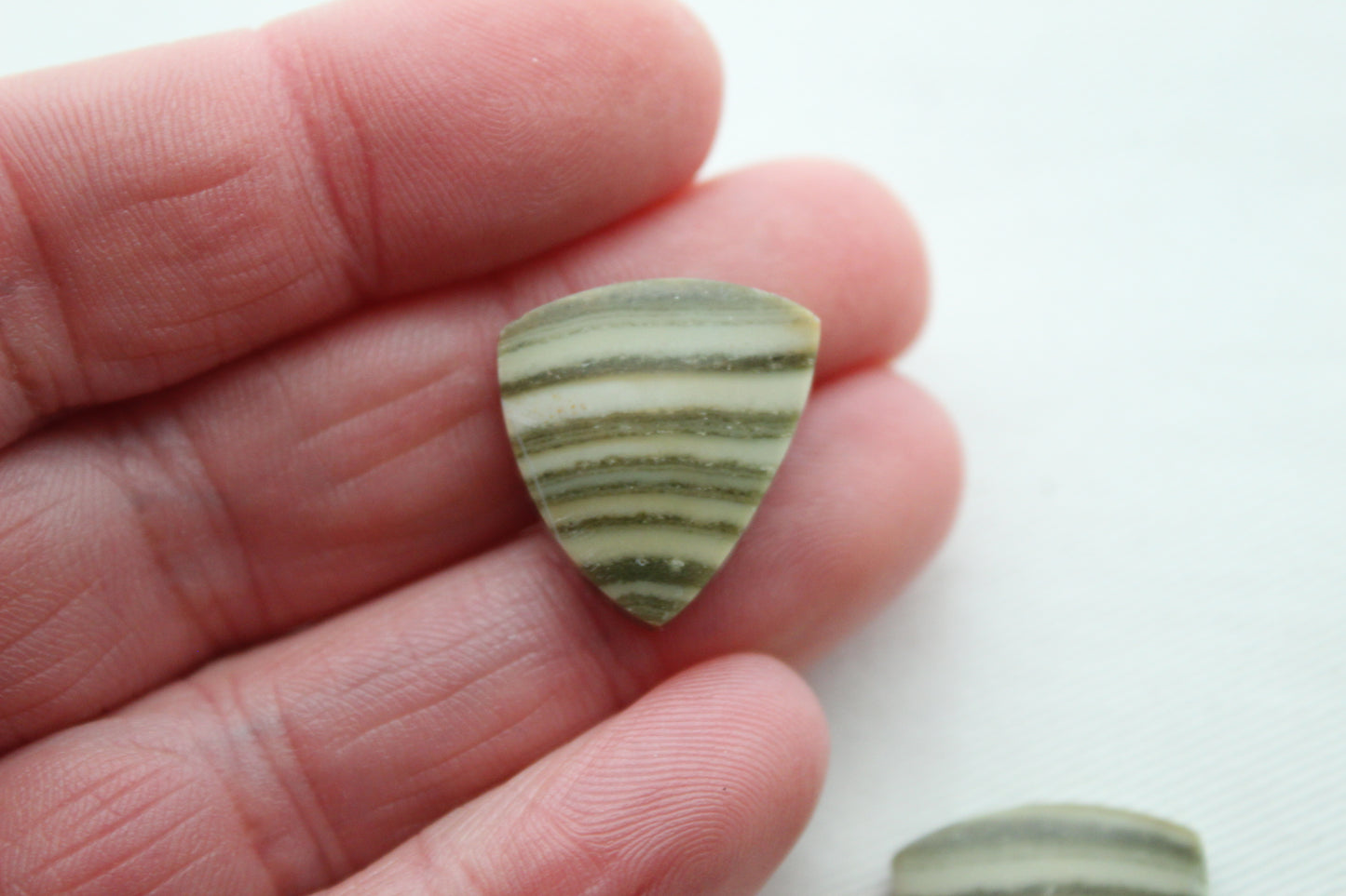 Pair of striped green Jasper Cabochons