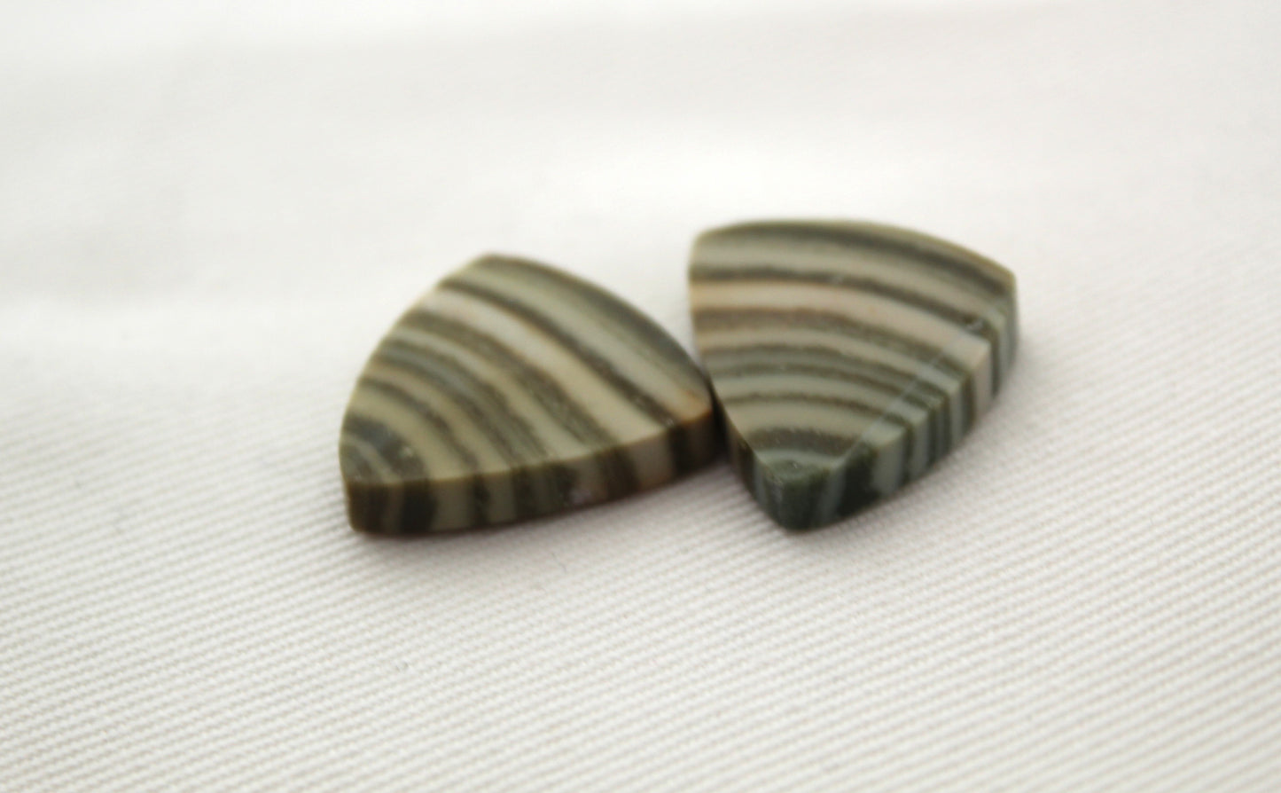 Pair of striped green Jasper Cabochons