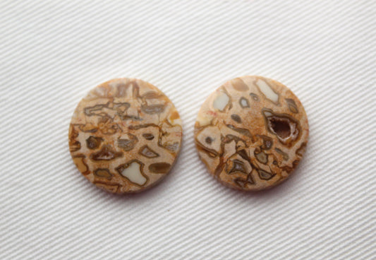 Fossil Palmwood Pair Cabochon Gemstone with druzy pockets