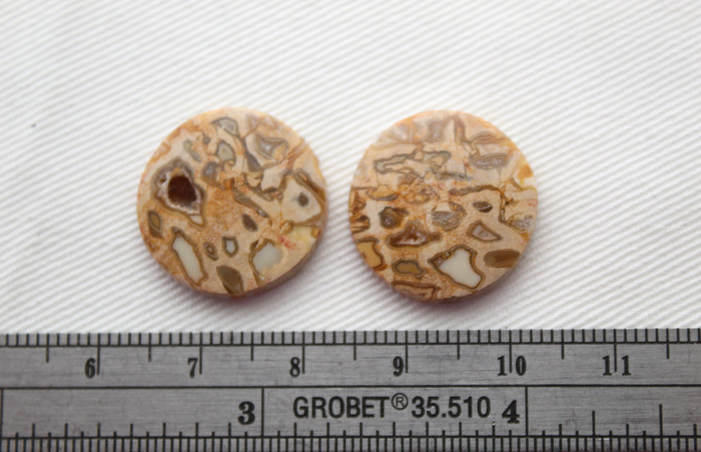 Fossil Palmwood Pair Cabochon Gemstone with druzy pockets