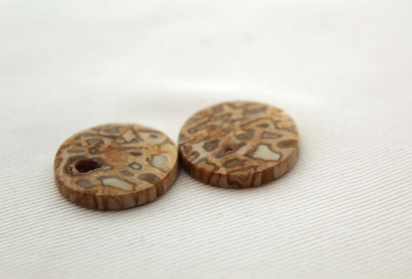 Fossil Palmwood Pair Cabochon Gemstone with druzy pockets