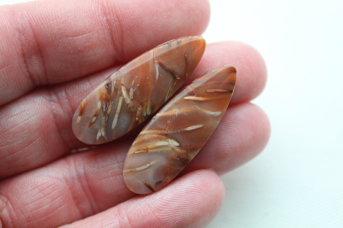 NICE Pair of Petrified Wood Cabochons pink