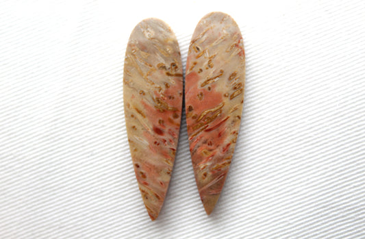 Red Palm Root Cabochon Pair natural gemstones