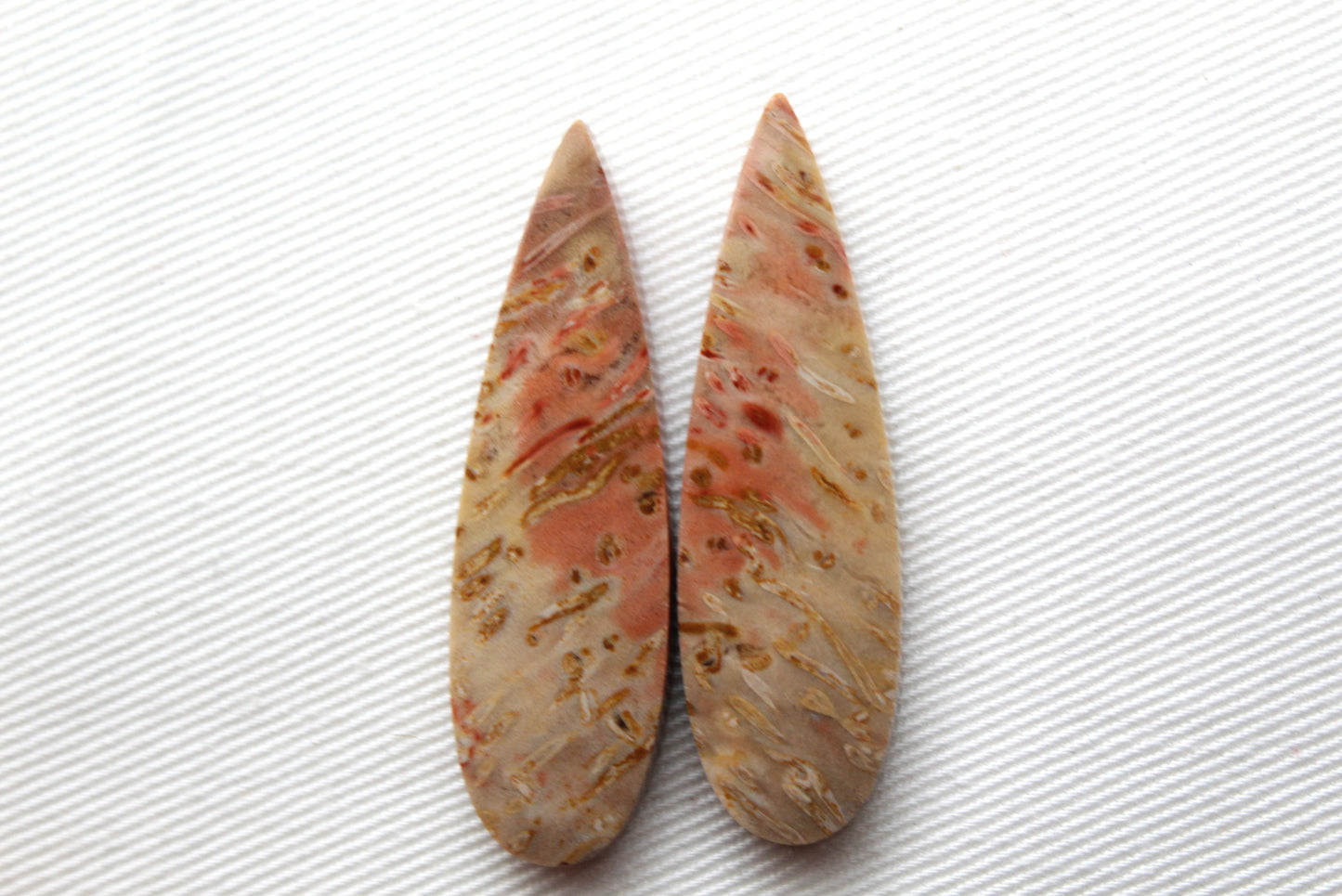 Red Palm Root Cabochon Pair natural gemstones