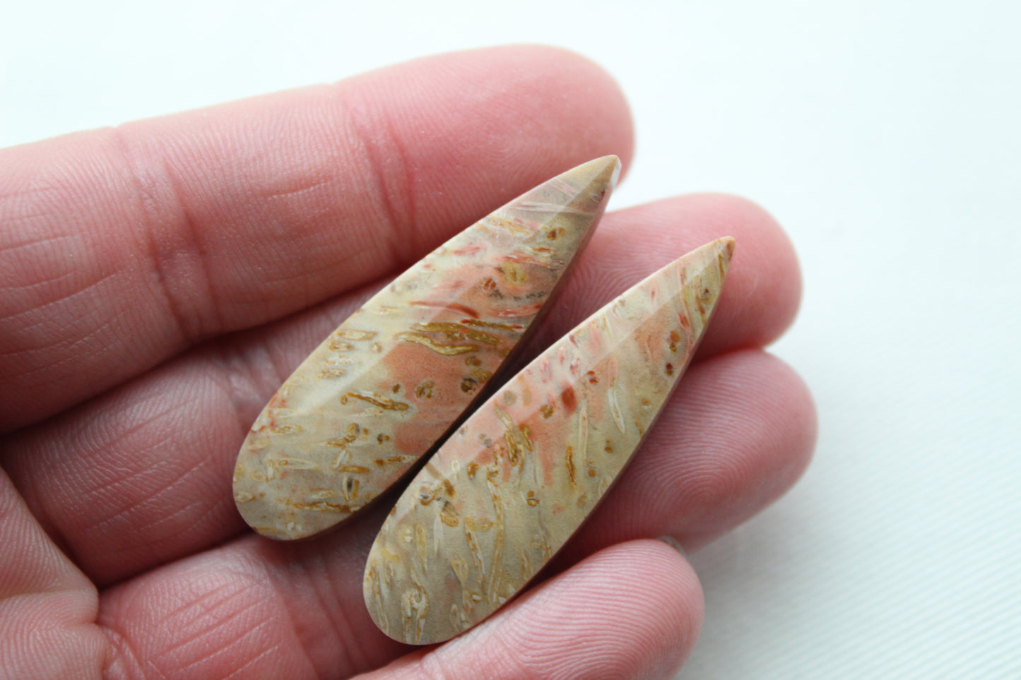 Red Palm Root Cabochon Pair natural gemstones