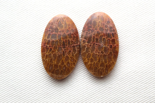 Fossil Palm root Cabochon Pair Gemstone Oval