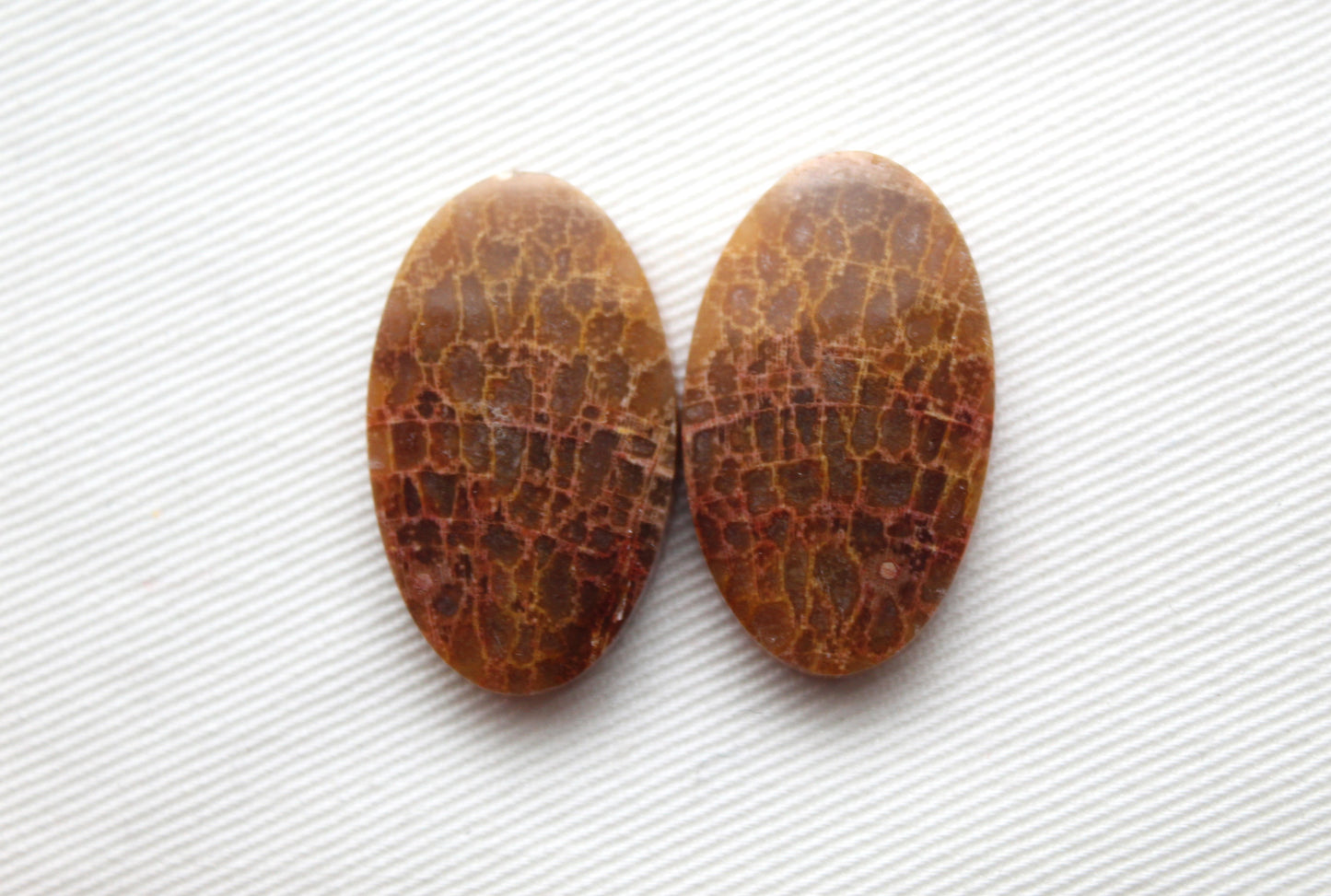 Fossil Palm root Cabochon Pair Gemstone Oval